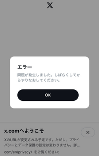 ブラウザ版twitter(x)にログインしようとするとエラーで全く入れないのですが、iosが古過ぎるのは関係あるでしょうか？ 今日ブラウザ版twitterがXに切り替わったことで強制的にログアウトされてしまったのですが、それから何度ログインしようとしても下の表示が出て入れません。
強制ログアウトされるまでは普通に使えていました。
しかしtwitterで検索しても他の人は普通にログインでき...