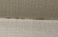 ♡ 壁のシミです ♡ ピンクコーデで、ディズニー❣️ めたんこ暑かったけどたの