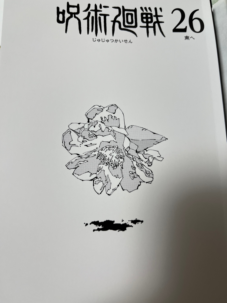 呪術廻戦26巻の裏表紙の絵なのですが、これは何なんでしょうか