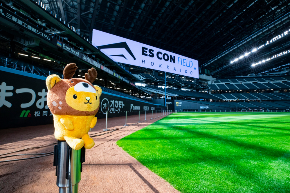 お話し中】8月8日（火）エスコンフィールド チケット 4枚