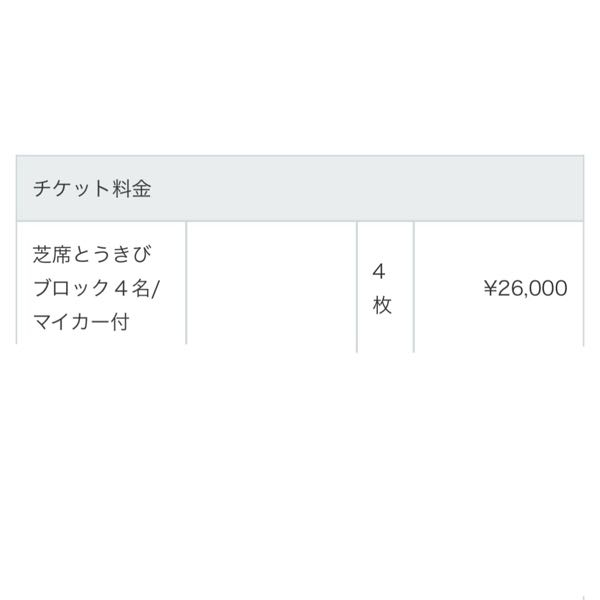 モエレ沼花火大会 チケット2枚 芝生ブロック＋往復バス ⚠️シャトル