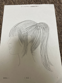 美容の専門学校に行こうと思っているのですが、課題でヘアデザインというのがあります。写真のような感じでいいのでしょうか？
たくさんの意見お願いします。 