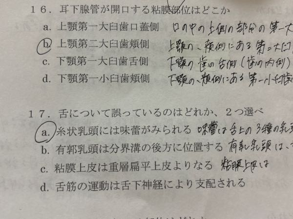 この問題の答えを教えてください。 そして、粘膜上皮は重層扁平上皮よりなる、という文が調べてもよく分からなくて、どうか解説付きで教えてください。よろしくお願いいたします。