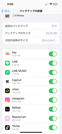 iPhoneのiCloudバックアップの中でオフでいい！ってのはありますか？？もうGBが重くて整理していこうと思ってます。この写真でもオフにしたらいいアプリがあったら教えて欲しいです！ 