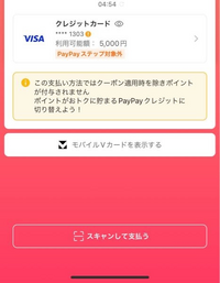 PayPayにb/43を紐づけたんですが
この場合5,000円分PayPayから支払いができるって
ことで大丈夫なんでしょうか？ 