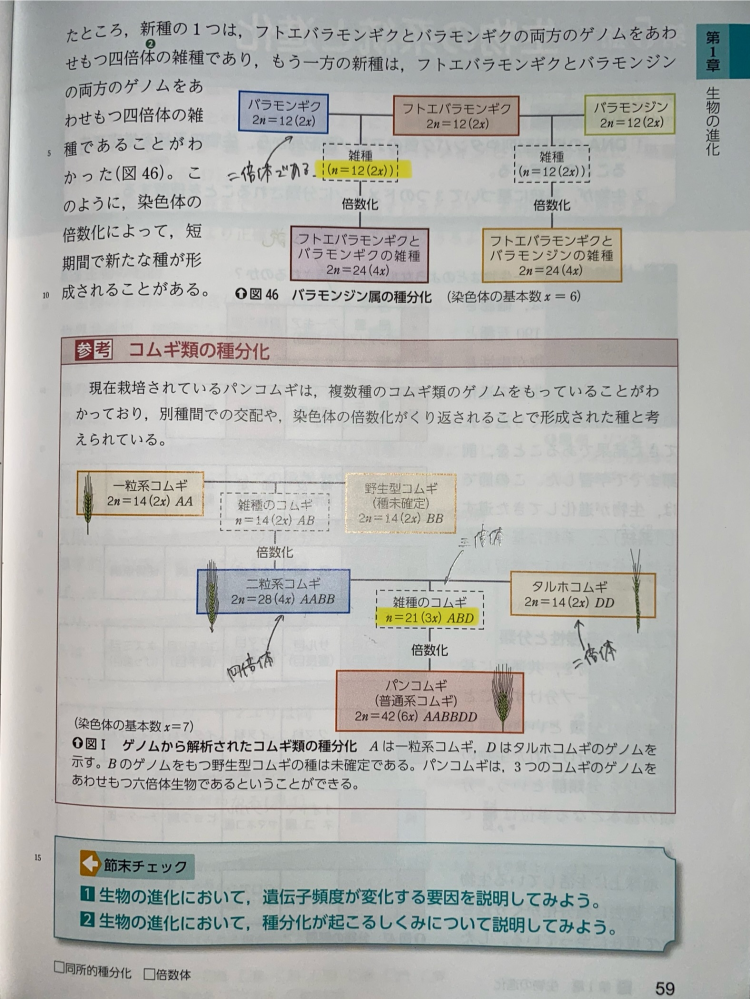 英単語 neighbor の語源や由来 日本にいながら英語・英会話力爆上げ