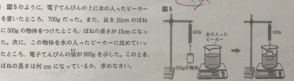 至急お願いします！！ 理科の問題を解いていたのですが、 求め方がわからないので教えて欲しいです！ 答えは13cmです！ 説明お願いします！！！