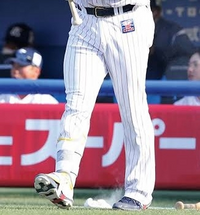 【限定セール！】 プロ野球選手が着用しているズボンは非売品ですか？写真は東京 応援グッズ