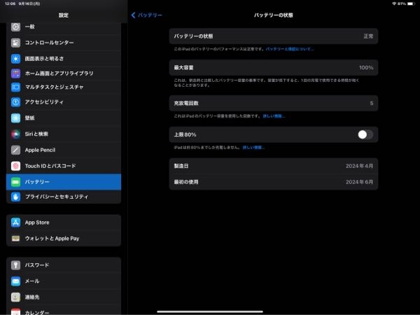 iPad Pro 第4世代 11インチ 128GB バッテリー残量100% iPad Pro 第4世代 11インチ 128GB バッテリー残量100%