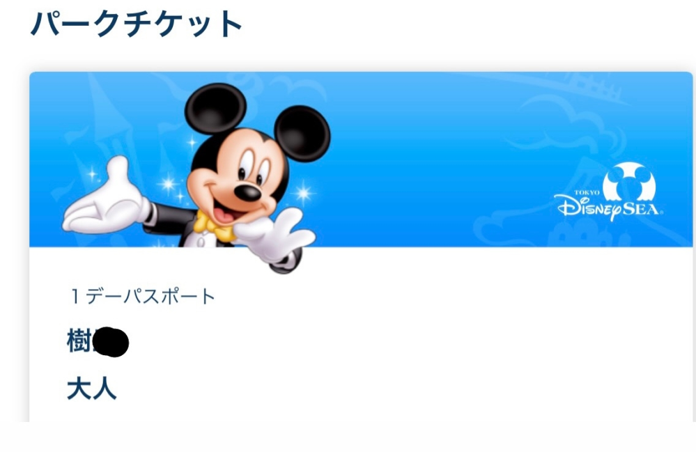Disney - ニックネーム ディズニーのデジタルチケットのニックネームは基本ひらがなのみ