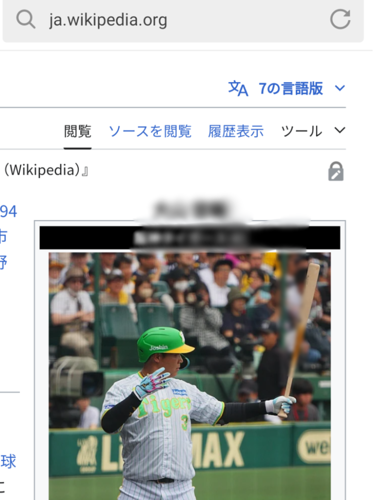 Wikipediaのページで鍵マークがついてるページをよく見かけますが、荒らされやすいページを保護するためですか？