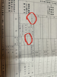 給与所得者の扶養控除等（異動）申告書についての質問です。 自分は障害者で手帳を持たせて頂いてるのですが、この写真の赤マルして写ってる欄は（◽︎障害者）の所にチェックをし、（本人、一般の障害者の所に1と記入すればよろしいでしょうか？
詳しい方お返事よろしくお願いいたします。