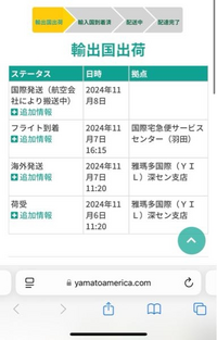 航空券 8/8（木）朝便 那覇8:55発羽田11:20着（片道）