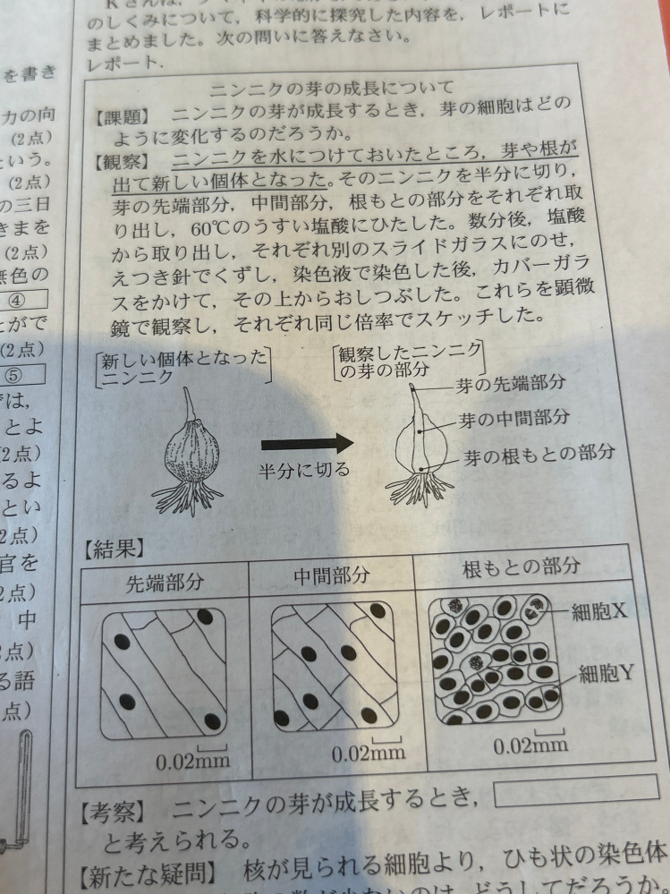 理科中学生物 この問題では根本の方が細胞分裂が盛んに起こっているのはなぜでしょうか。 学校では根の先端の方が細胞分裂が盛んに起こると習いました。 北海道高校入試理科2024 の問題です。