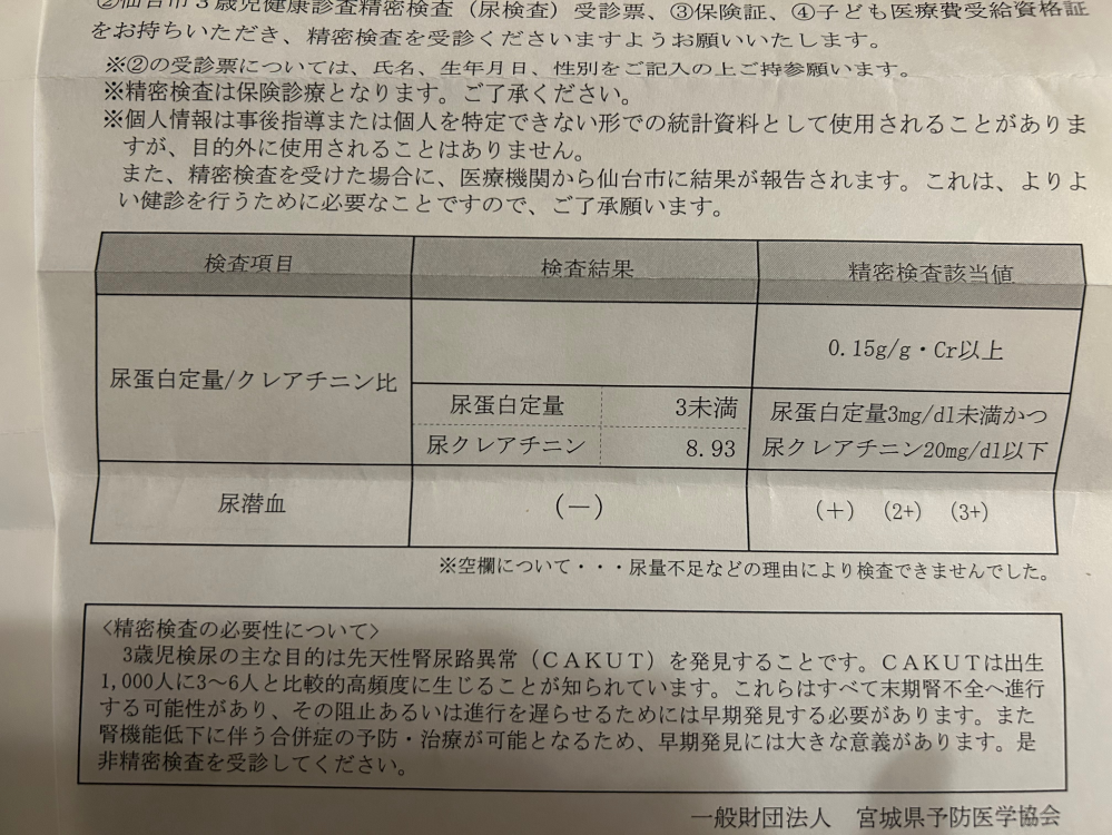 3歳半検診で精密検査が必要と出てしまいました。 クレアチン、尿蛋白、尿潜血はひっかかっていないようですが、右上の表が空欄になってます。 これは、尿量不足ということでしょうか？ やはりそれともどこか引っかかっている状態でしょうか。。 とても心配なので教えていただきたいです。