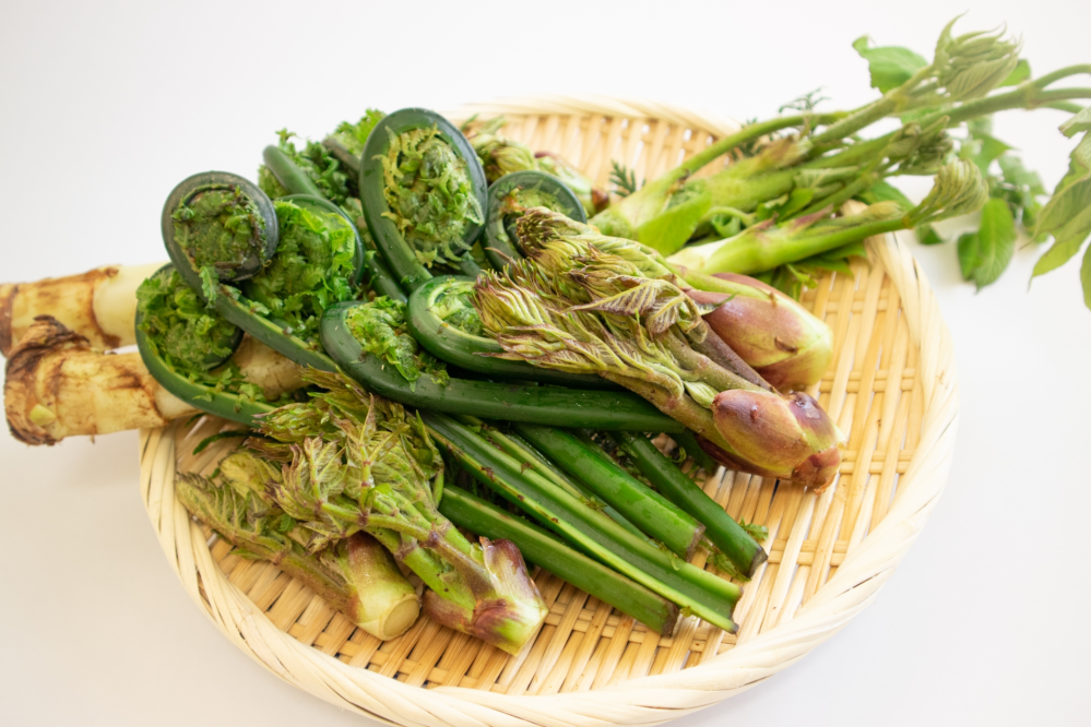 こんにちは 山の幸といえば 皆さんは どんな食べ物が いちばんに出てきましたか？？