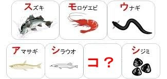 〖宍道湖七珍大喜利〗その６ ㅤ 宍道湖七珍の「すもうあしこし」。 ６文字目「こ」って何でしたっけ？ ㅤ ※画像はあくまでイメージです。画像（魚介類）にとらわれず ㅤ自由に回答してください。 ㅤ