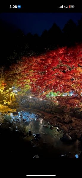 この写真だけでどこの紅葉かわかる人いませんか？