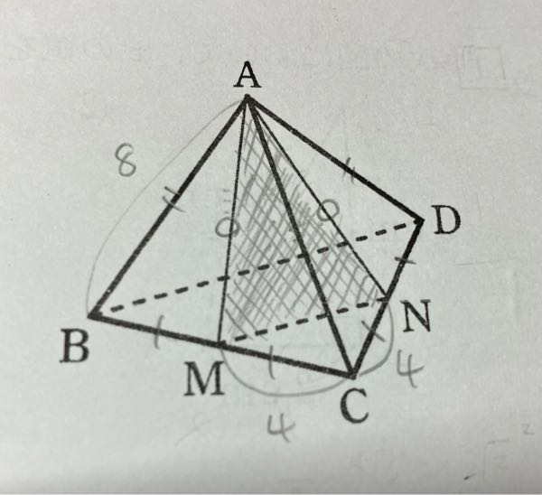 至急です！！！ 一辺の長さが8cmの正四面体ABCDがあり、BC,CDの中点をそれぞれM,Nとします。 (1)は線分AM＝4√3cm (2)△AMNの面積を求めなさい 8√5cm²と答えましたが、間違いでした！ (2)の答えをどなたか教えてください！