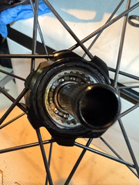 この度EliteWheelsでEdge40mmセラミックベア - Yahoo!知恵袋 この度EliteWheelsでEdge40mmセラミックベア - Yahoo!知恵袋