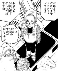 さっきドラゴンボールの漫画を読んで思ったのですが、人造人間になれば永遠の命が手に入るのでしょうか？？ 