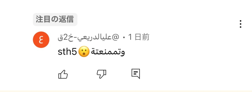 YouTubeのお気に入り動画にコメントしたら 投稿者さんではなく視聴者さんからコメントがきたのですがアラビア語？なんて書いてあるのかわかりません。 気にしないで見過ごせばいいのですが自分のコメントだけ届いているので翻訳できる方いらっしゃいましたら教えていただけませんでしょうか？よろしくお願い致しますm(_ _)m