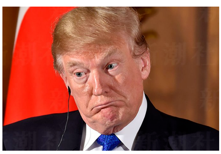 大喜利 この画像でボケて！？