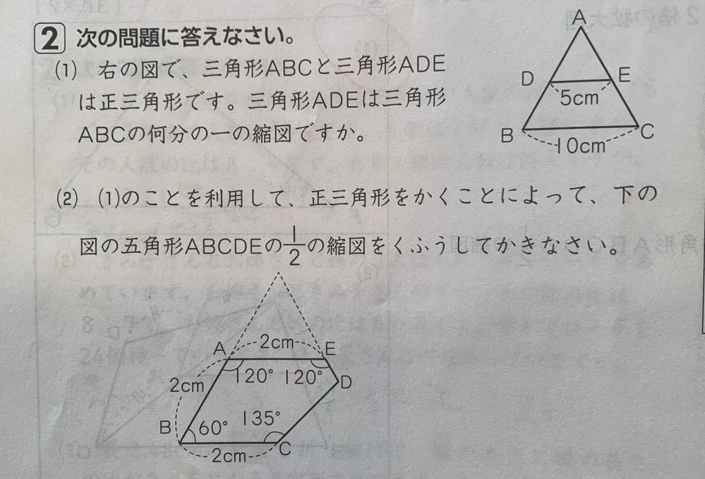 小6 算数 拡大図と縮図 （2）の問題について、解法を詳しく教えていただけましたら有難いです。 宜しくお願い致します。