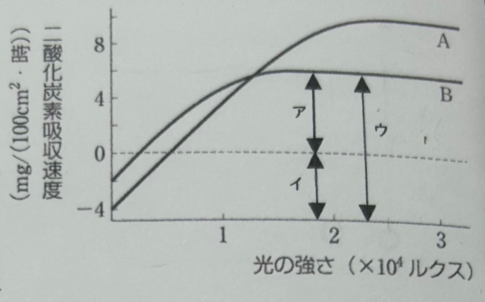 植物Bを30000ルクスの光のもとに12時間おいた このとき、光合成によって植物Bに吸収されたCO2量は、葉100cm²あたり何mgか？ の問題の解き方を教えて欲しいです