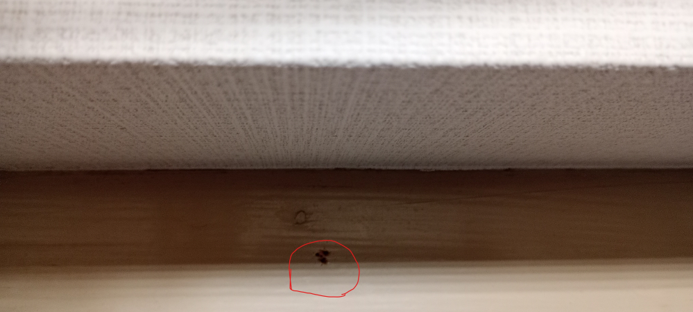 賃貸物件の壁の木材部分についた画鋲跡について質問です。※ケースバイ 