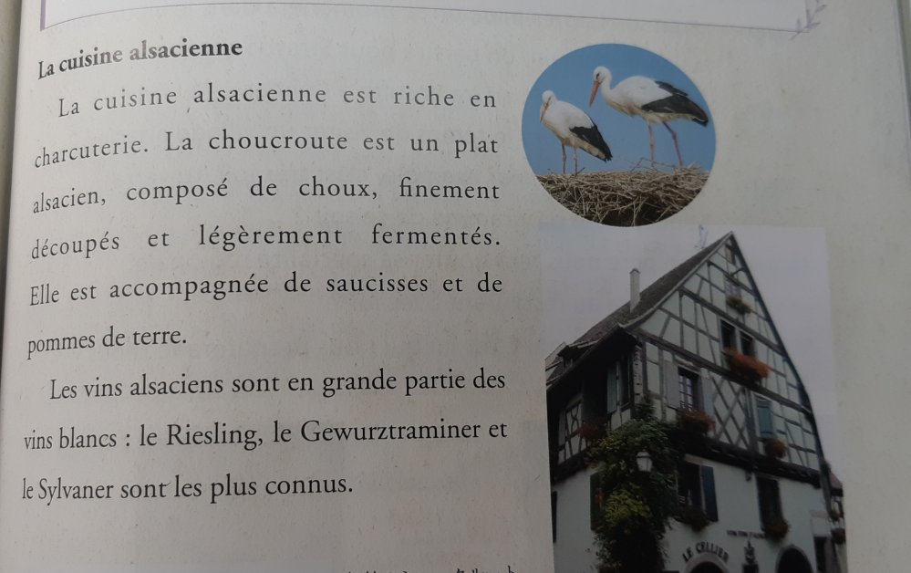 これはフランス語の文なのですがどなたか和訳してください、