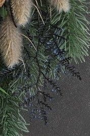 この黒と青の植物の名前わかるかたいますか 