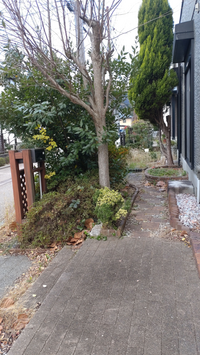 素人　駐車場野外露出 