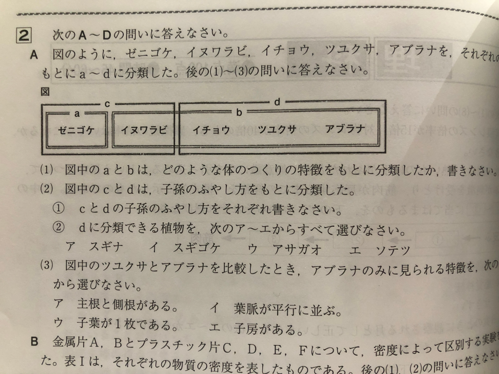 理科の問題の質問です。 画像の(１)で、 答えは 維管束があるかないか らしいのですが、根と茎と葉の区別ができるかできないかでも合ってますか？