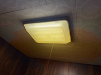 助けて、電信柱くらいの高さの蛍光灯交換