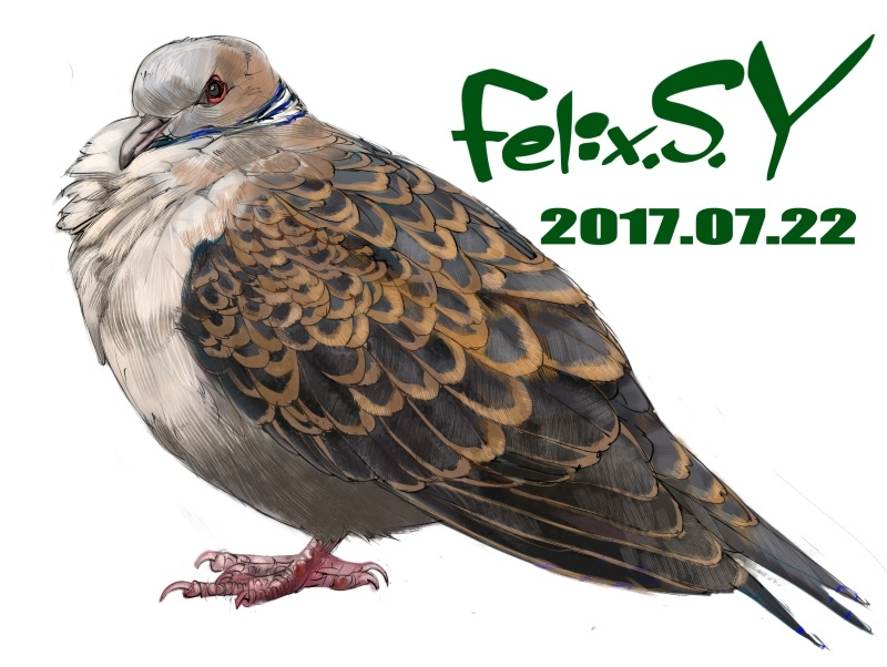 ★おはようごじゃいマシユマロ！ 鳥類カテのみなシャン！ ボクは小学生でしゅ。 雨のやんだ火曜日の朝、５分ラクガキ絵でしゅ。似てましゅかあ?