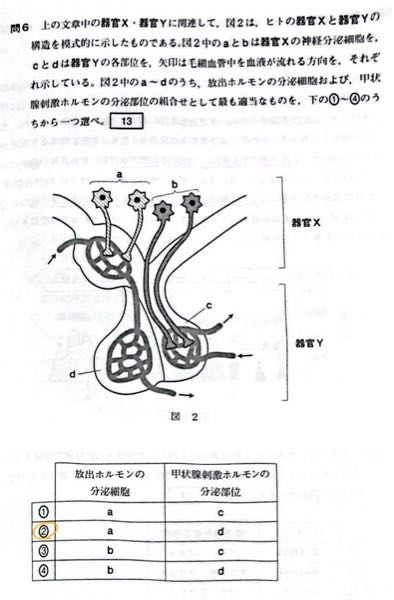 生物基礎の分泌細胞？の問題です。 この問題が解説を読んでも解き方が分かりませんでした。教えてください！