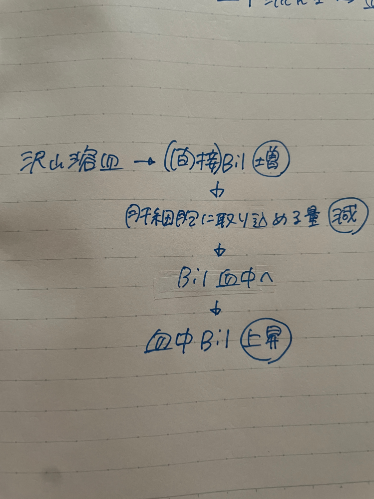 血中ビリルビン濃度上昇の仕組みはこんな感じであっていますか？