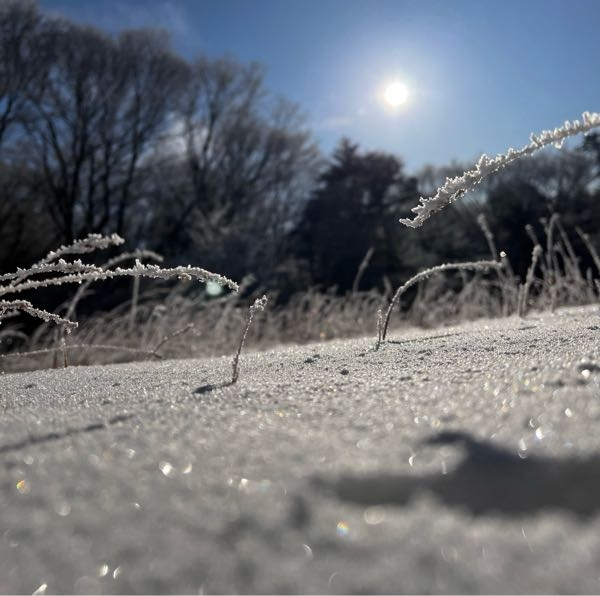 地面の雪がキラキラして見えたのですがなんの現象が考えられますか