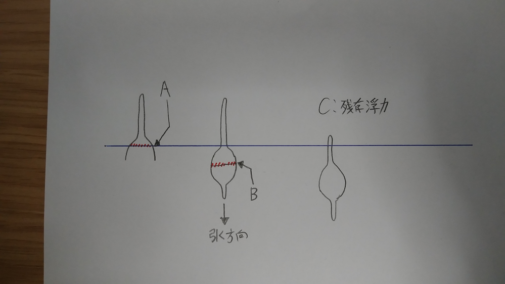 ウキの感度に大きな影響を与えるのは以下の内どれになりますでしょうか？ A、ウキと水面が接する部分の、ウキの断面積 B、ウキが引き込まれる方向に対する、ウキの最大断面積 C、残存浮力 個人的にはBだと考えます。理由ですが「浮力を殺せばどんなウキでも高感度になるか？」と言われればNoだからです。 残存浮力についてですが、「がっつり浮力が残っている」ような状況は除外してください。 それ以外にも水面上のトップの体積や、浮力など考えるべき点は多数ありますが、皆様の考えをお聞かせください。 よろしくお願いいたします。 自身は今までルアー釣りをしてきたのですが、今年は趣向を変えてウキ釣りにチャレンジしようと思っています。 ウキの浮力調整や、多彩な潮流変化への対応、ウキ下を張ることの重要性など、エサ釣りの奥深さに驚くばかりです。