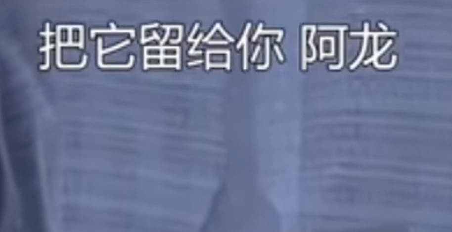 中国語わかる方 これはどのような意味になりますか？