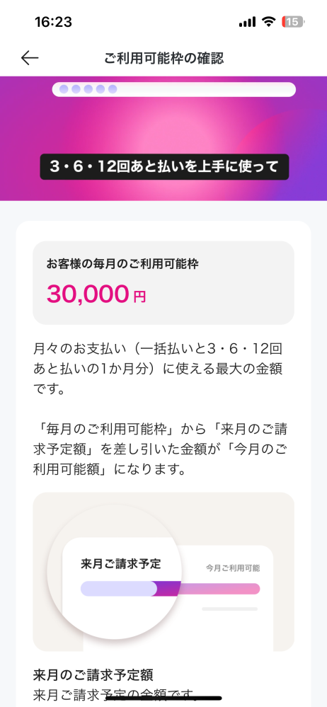 ペイディの支払いについて。 ペイディの今月利用可能額の説明についてなのですが、(3・6・12回あと払いの1か月分)これは、仮に12万円の商品を12回払いで買った場合、毎月1万円分の料金が来月の利用金額になり、今月の利用可能額が3万円から2万円になるという解釈でいいんでしょうか。