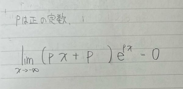 数3に関しての質問です。 写真の極限の解き方が分かりません。 -∞×0の不定形をどう処理したらいいのかがわからないです。