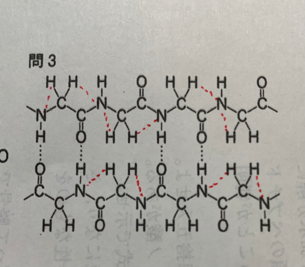 高校化学のタンパク質の分野について。あるタンパク質のβ-シート構造の1部を示したものに水素結合を形成する原子間を点線でむすべという問題でした。 私は赤で書いた所もN-H間も水素結合が働くと思ったのですがこれはなんで違うんでしょうか