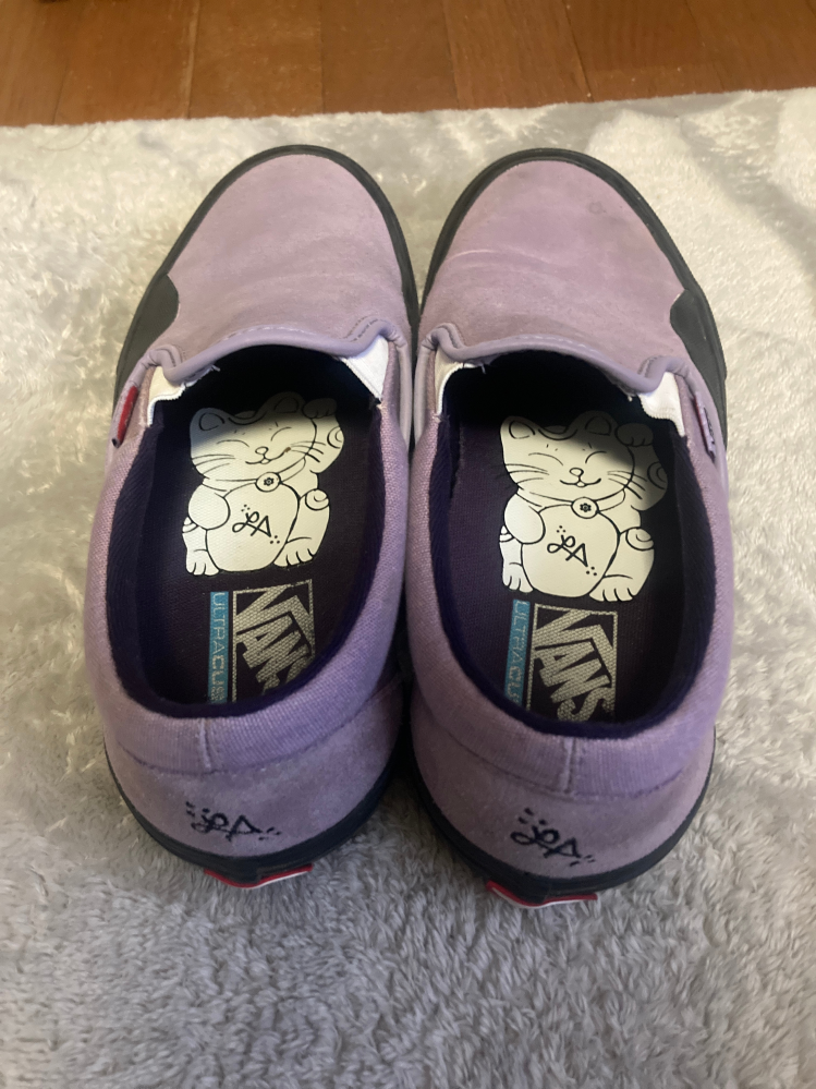 このvansの靴はどういうものなのか詳しく教えてほしいです！ いくら調べても出てこないので、