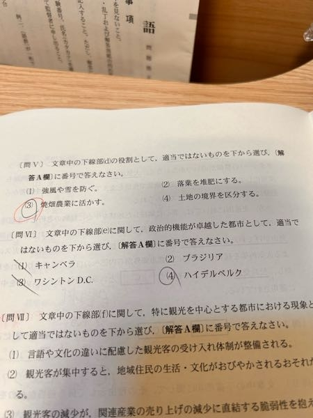 地理の問題です。下の写真のVIの問題の答えは何だと思いますか？ 問題の意図も教えてほしいです。