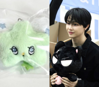 NCTWISH WISH DOOL ぬいぐるみ　新品未開封 リク前田陸 NCTWISH WISH DOOL ぬいぐるみ 新品未開封 リク前田陸 - メルカリ