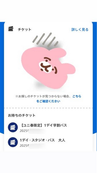 ユニバ　チケット2枚組 2025年最新】Yahoo!オークション -usj チケット 2枚の中古品