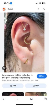 こういう、海外でhiddenhelixと言われている部位のピ - Yahoo