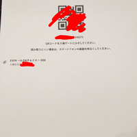 USJのチケットに関しての質問です。説明でもよく分からずぜひ